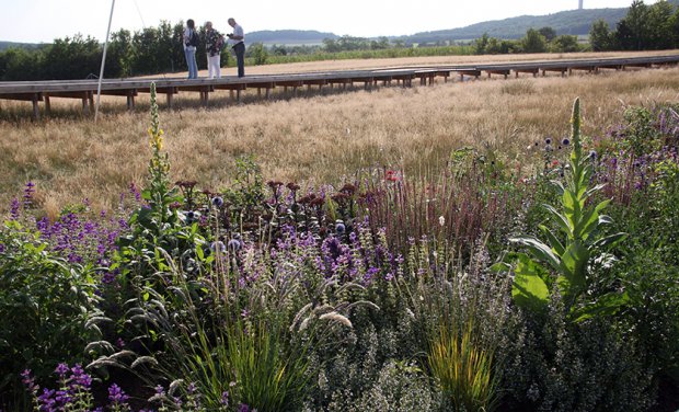 2015年哈弗尔地区联邦园艺展丨Büro Christian Meyer-3