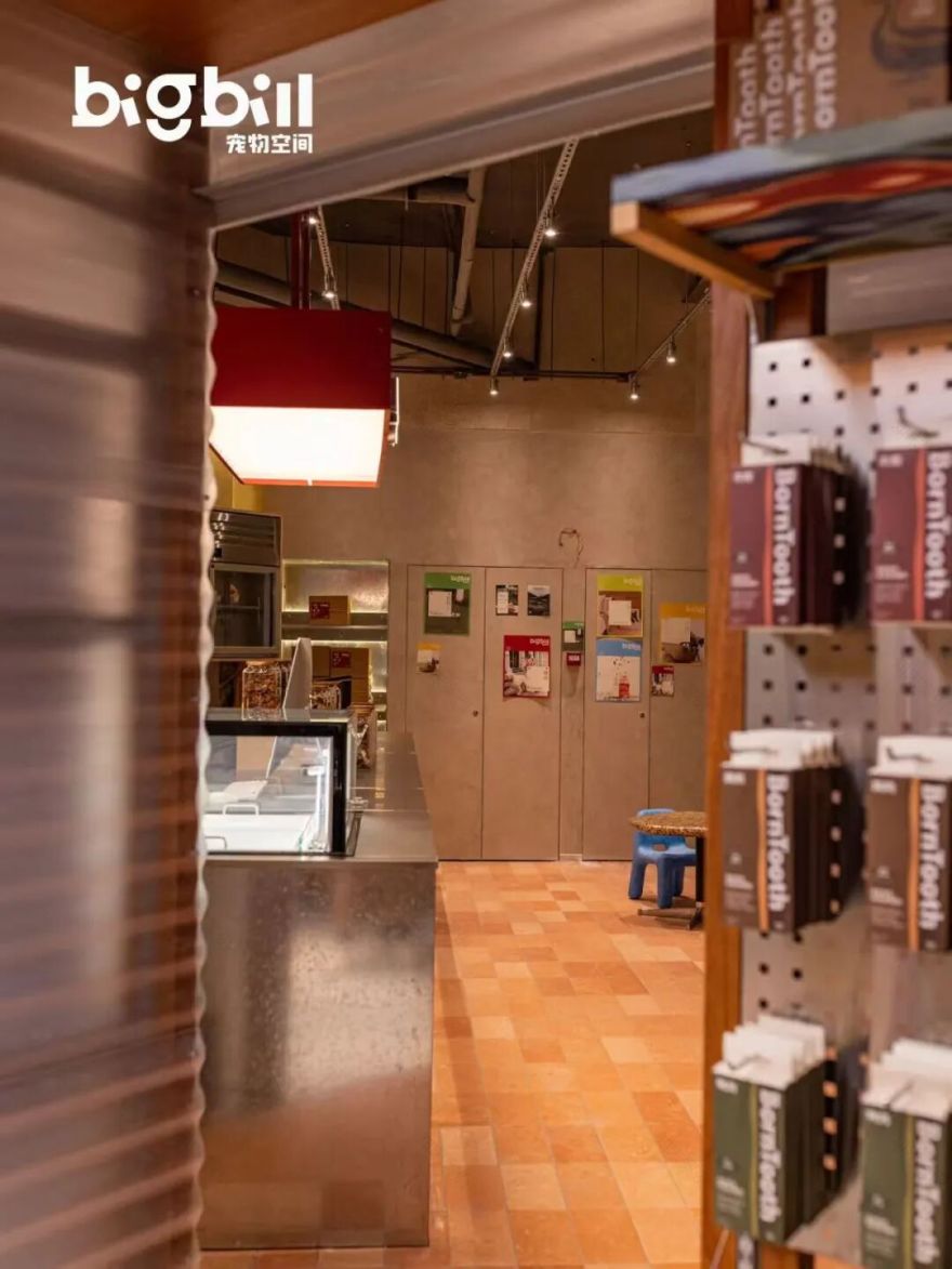 立衡中灯光实景xBIGBILL宠物店-11