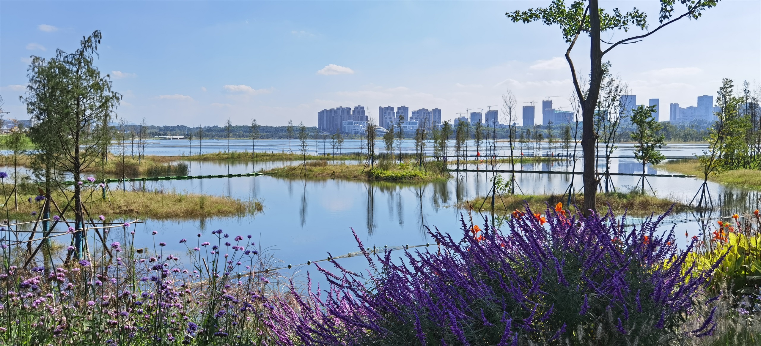 公园城市生态价值转化的设计实践·兴隆湖湿地公园丨中国成都丨中国建筑西南设计研究院有限公司-29