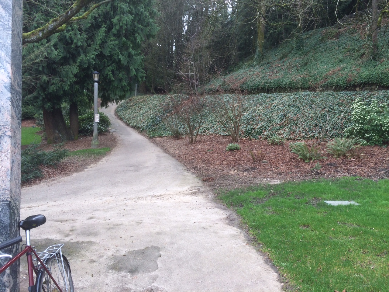 华盛顿公园喜马拉雅云林花园丨美国华盛顿-109