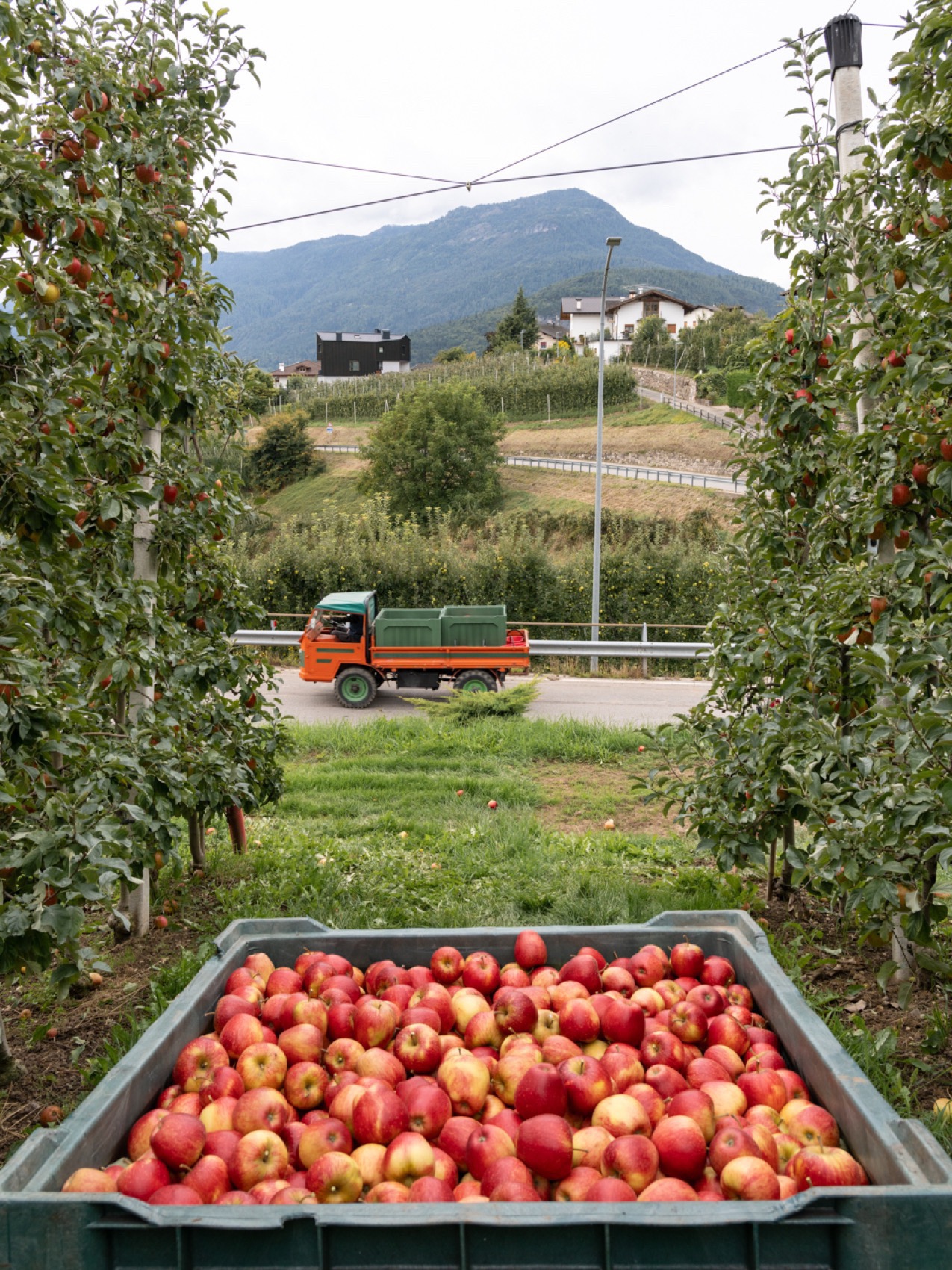 故乡之家丨意大利特伦托-194