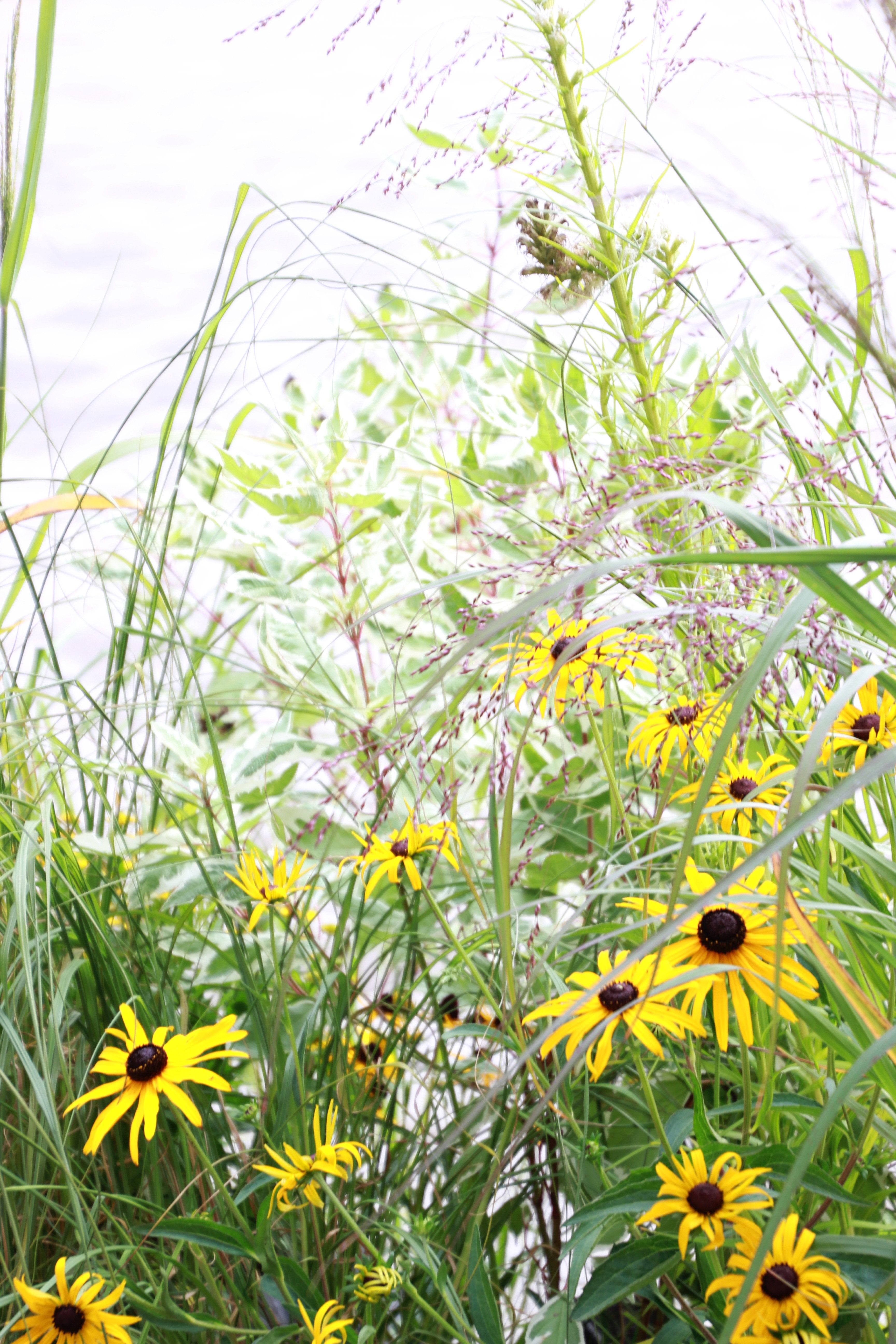 无明确信息丨LithuaniaKaunas-7