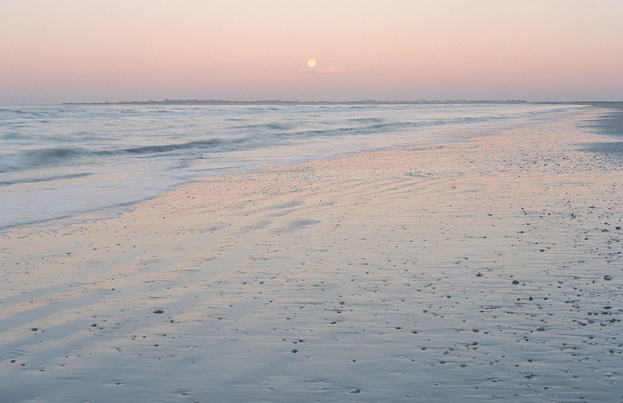 奇异梦境 | 摄影师 Namiko Kitaura 的艺术世界-3