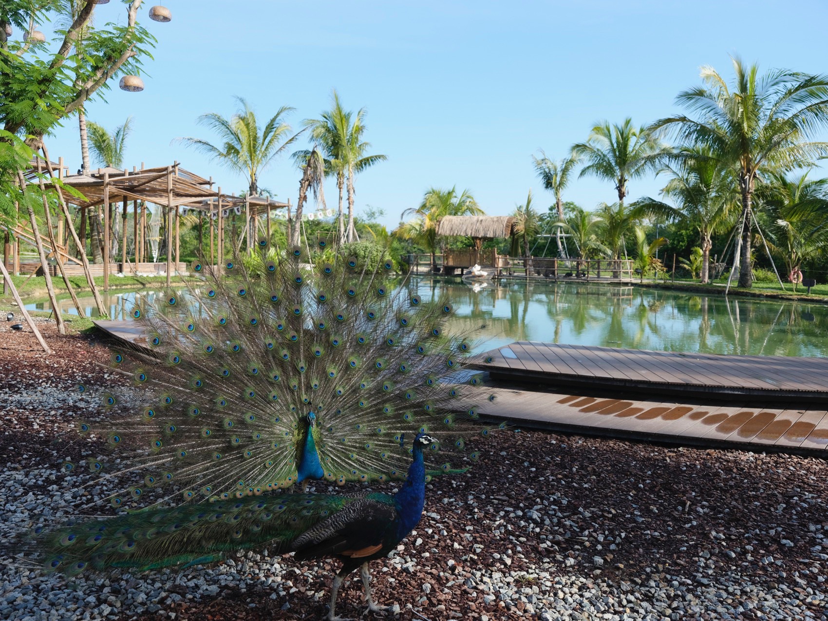 麓湾水集丨中国万宁丨昱道景观-61