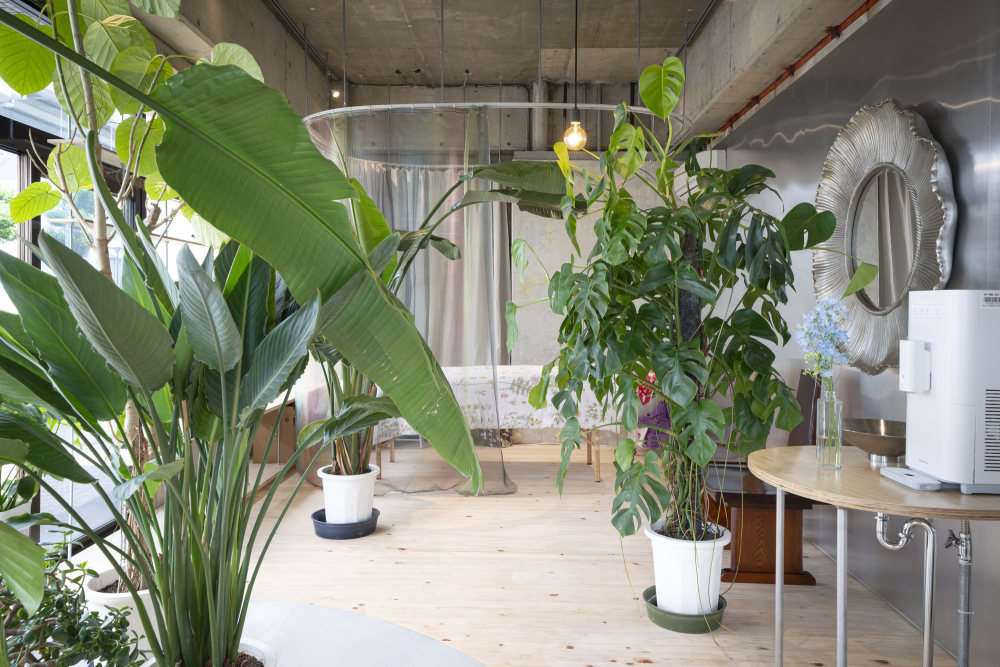 日本 Hamamatsu 沙龙 PURETE 设计丨Yumiko Tokuno Architecture Office-16