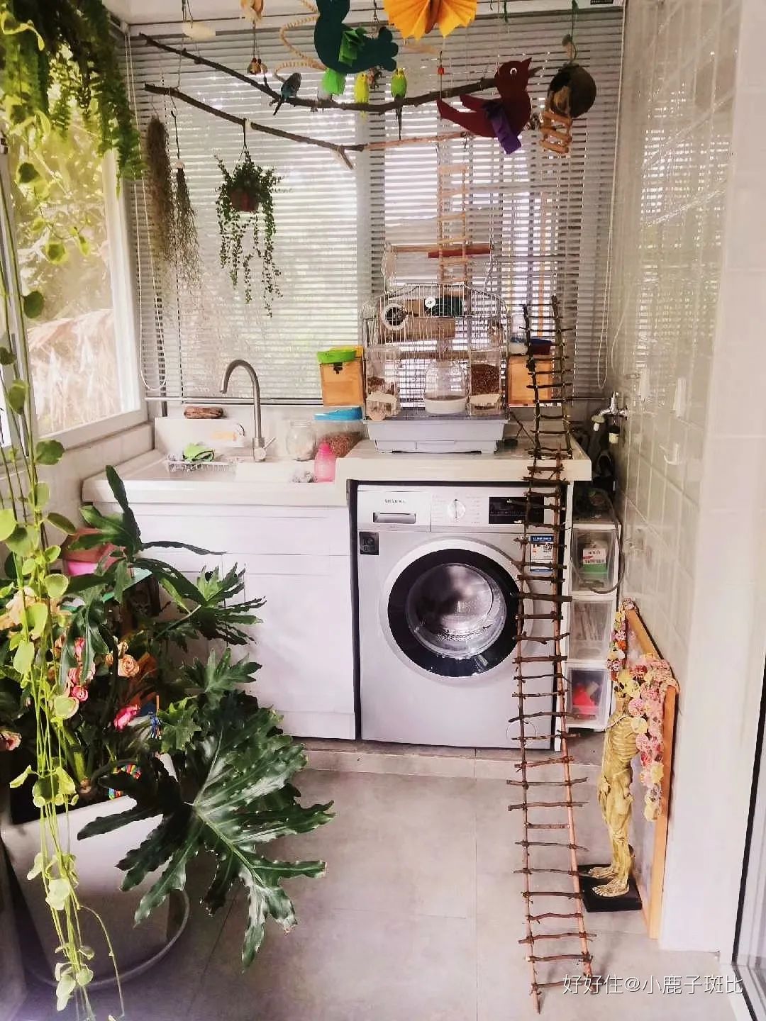 好好住APP用户分享丨中国北京丨好好住认证设计师-207