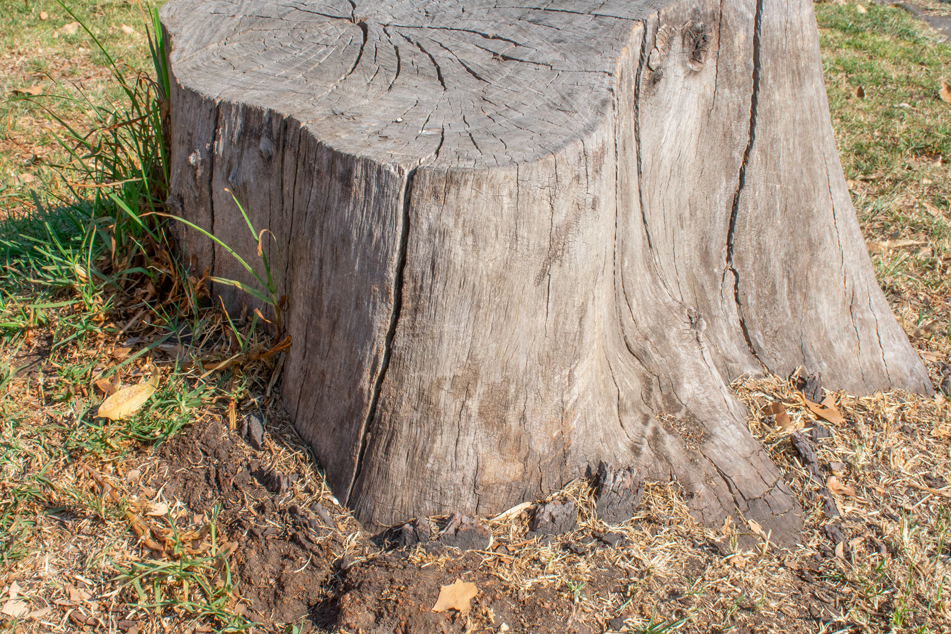 Tocón 建筑模型-22