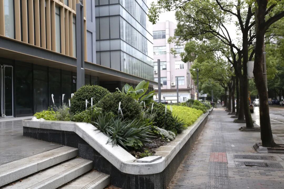 MYP现场|上海金桥碧云玖零广场改造进行时-15