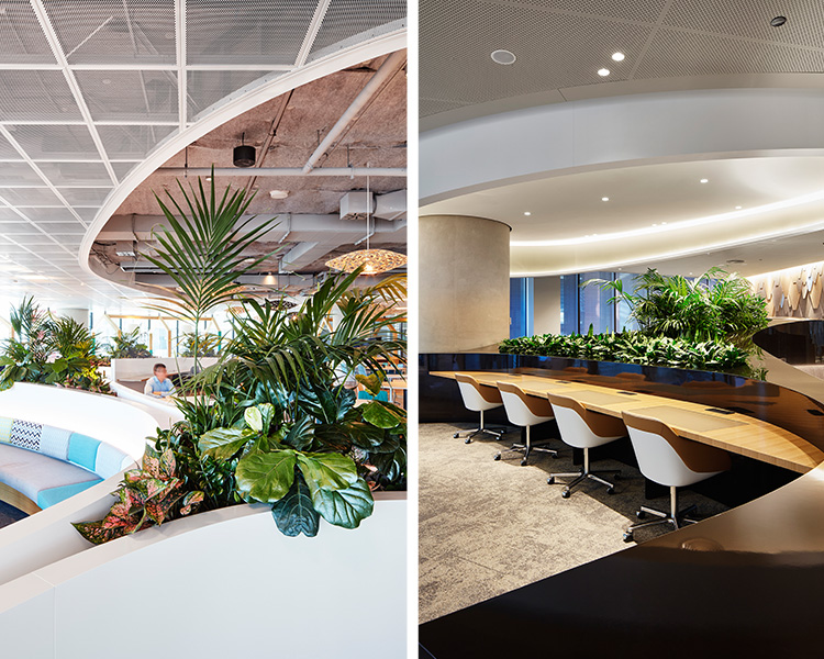 悉尼国际塔楼丨澳大利亚悉尼丨ASPECT | OCULUS-8