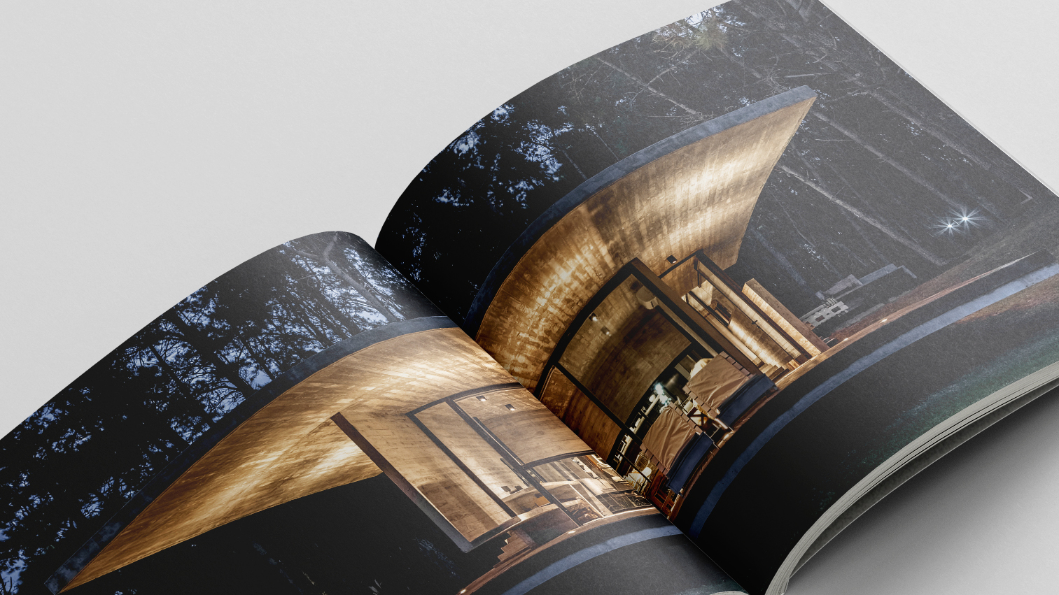 具体自然丨阿根廷-26