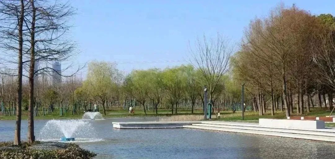 上海沔青公园丨中国上海-13