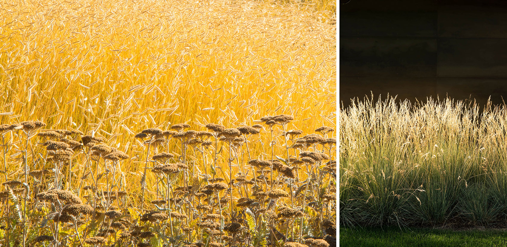 采石场住宅丨美国犹他丨Design Workshop,Inc.-65