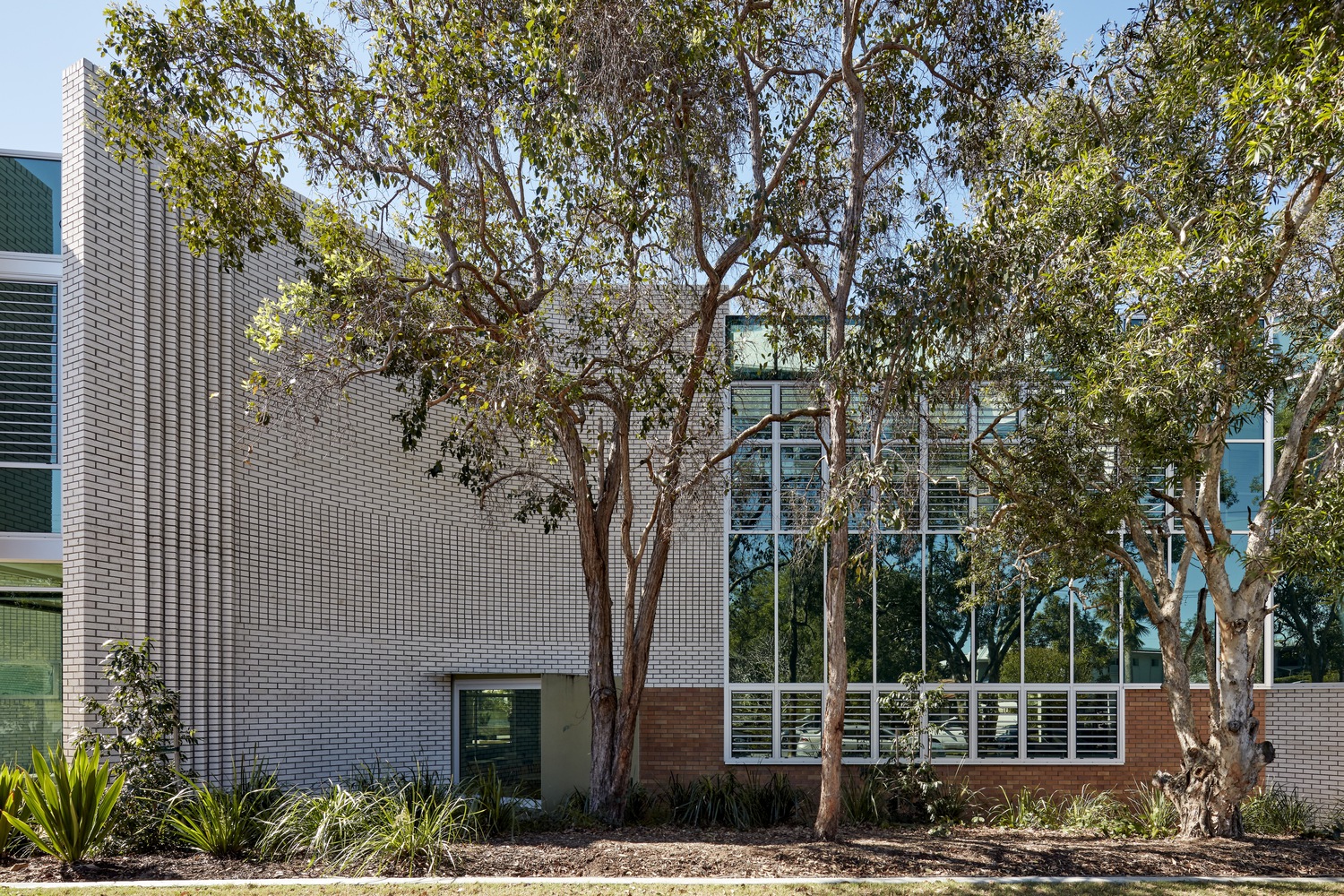 Cannon Hill Anglican College D Block | 融入自然的灵活学习空间-34