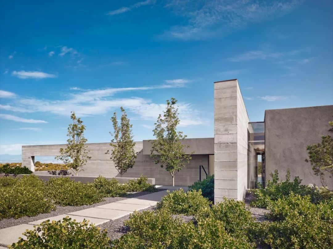 诗意栖居，Specht 建筑的自然共生之美-14