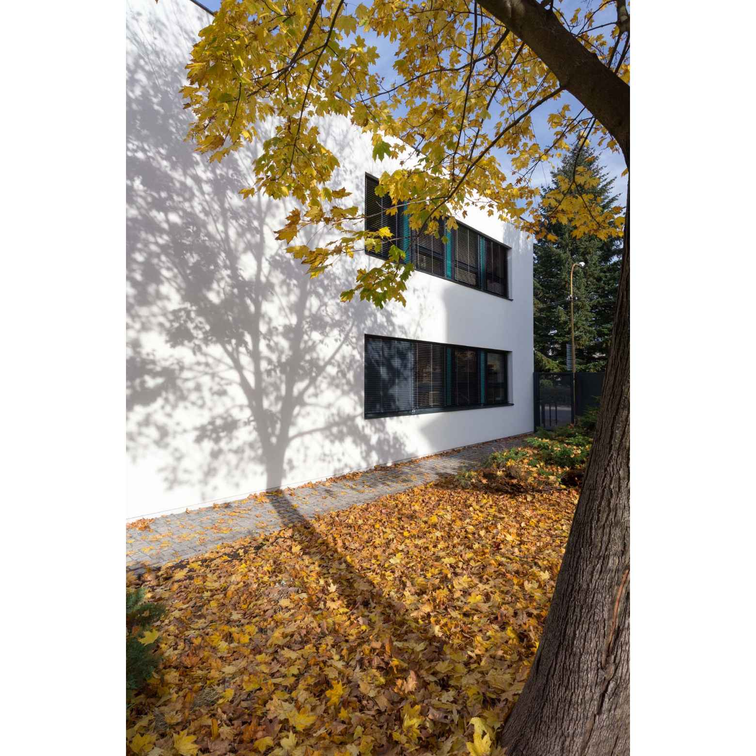 Rekonstrukce fasády a okolí DDM v Kopřivnici – Mrva.net-17