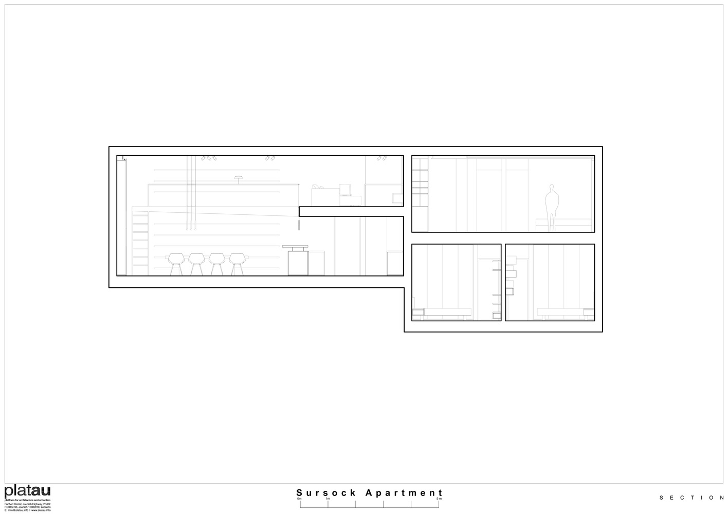 Sursock Apartment   platau-61