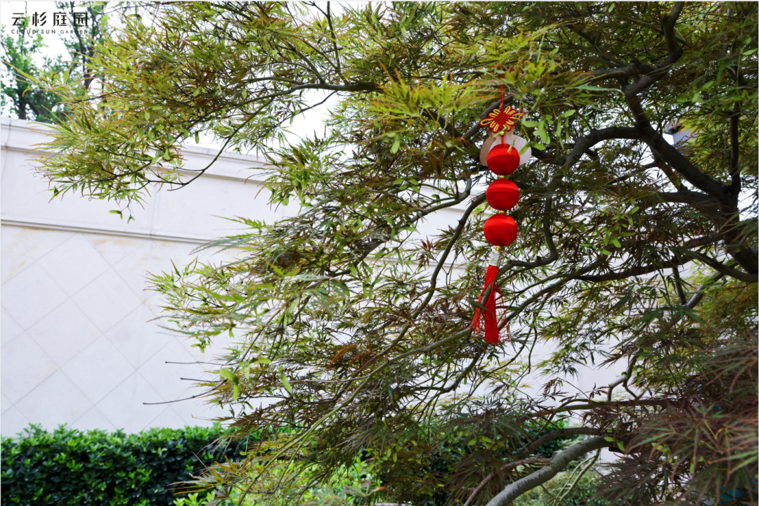 龙凤山庄 J 府丨杭州云杉庭园设计工程有限公司-36