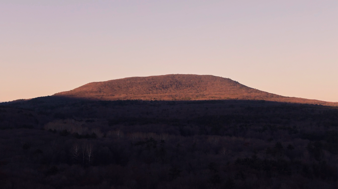 艺术家 Emily Cheng 的纽约新家丨美国丨琚宾（水平线设计）-5