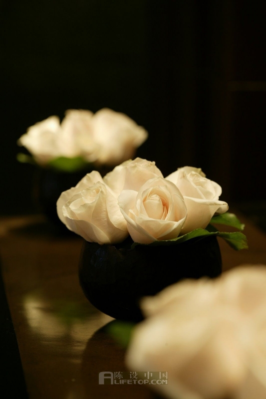 JAYA  经典迈阿密THE SETAI酒店-2-34