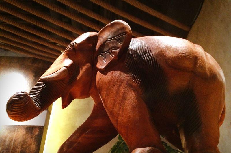 北京良子健身-1