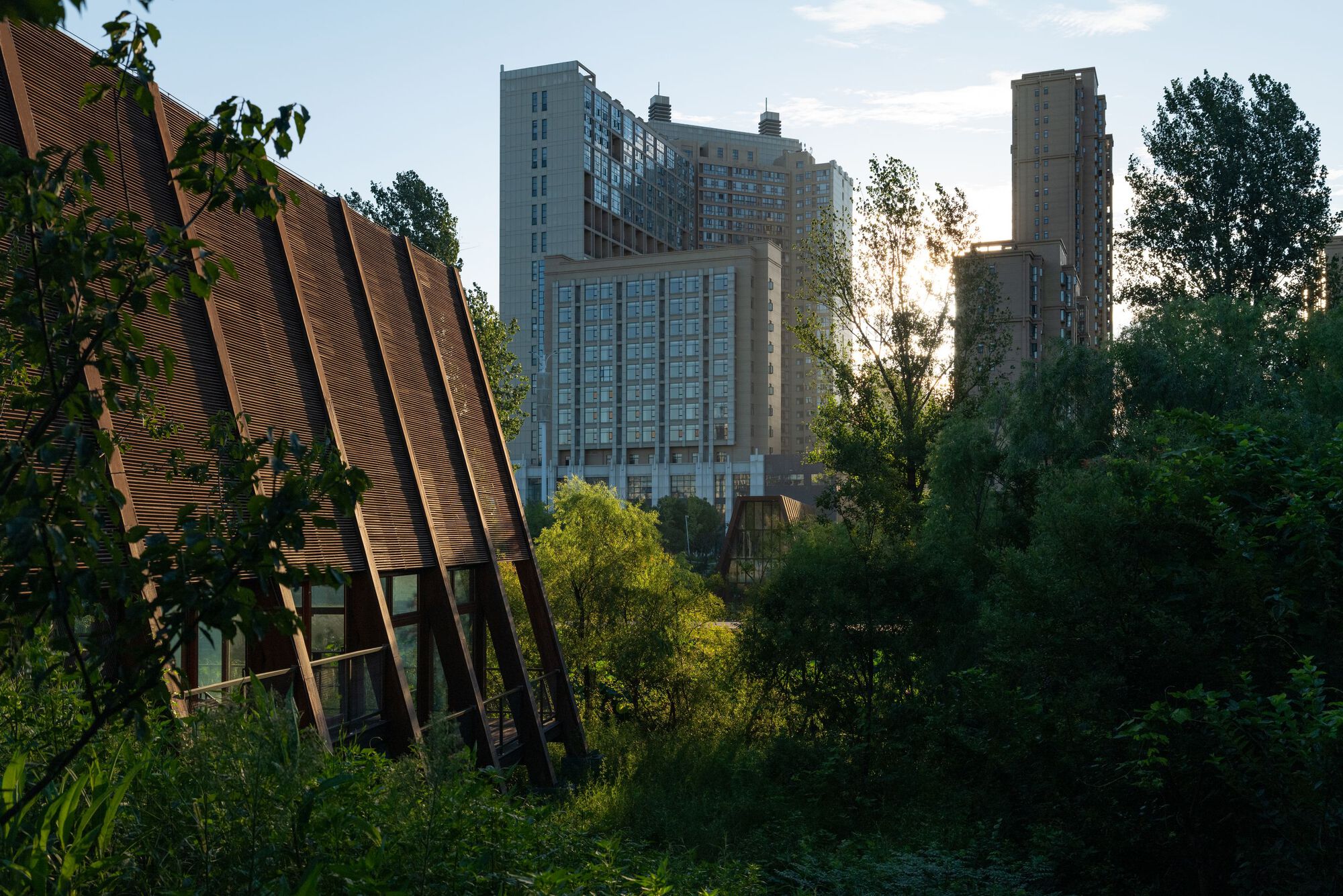 知识殿堂丨中国信阳丨Christoph Hesse Architects-34