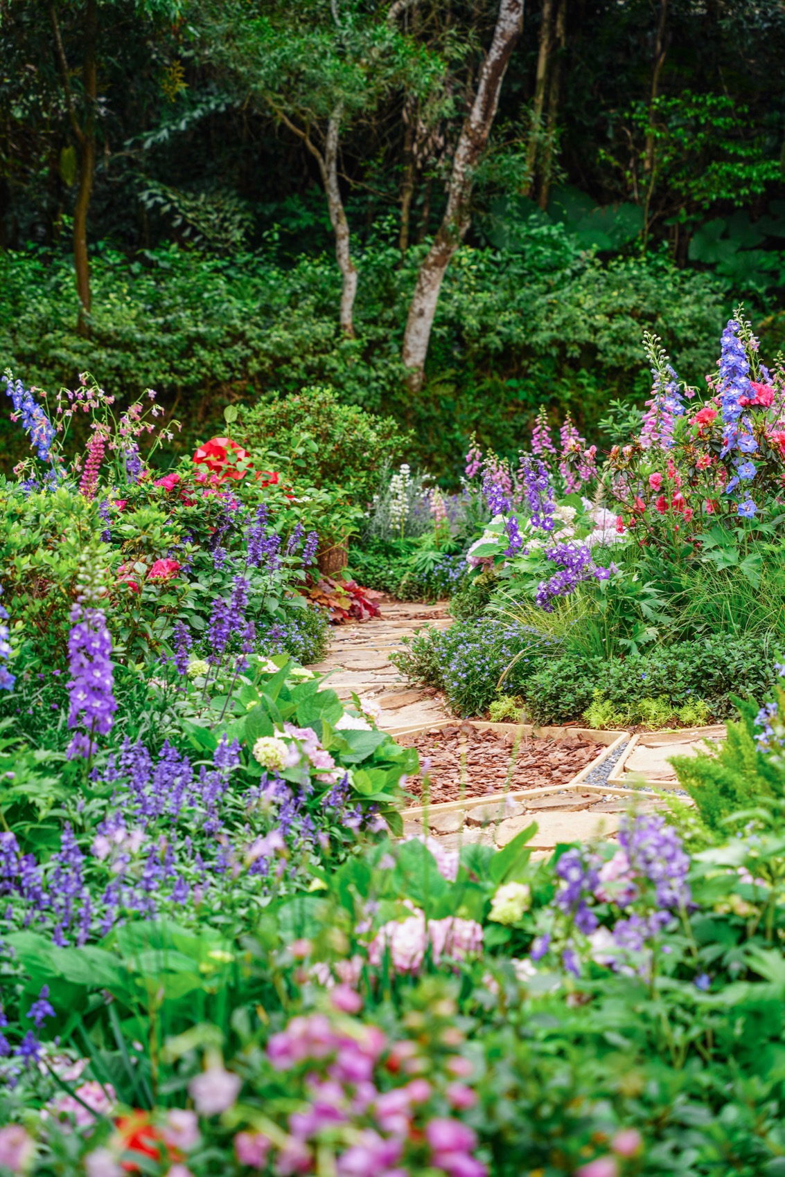 互动视听花园,深圳 / 华南理工大学建筑学院风景园林系-80