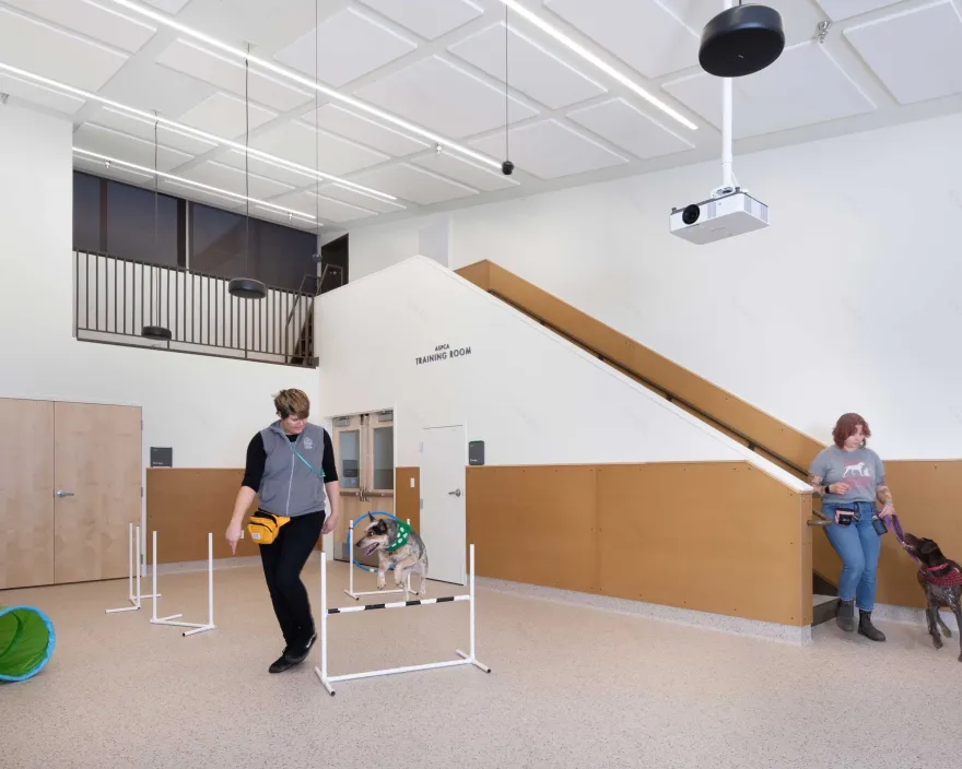 俄勒冈人道协会丨美国波特兰丨Scott Edwards Architecture-29