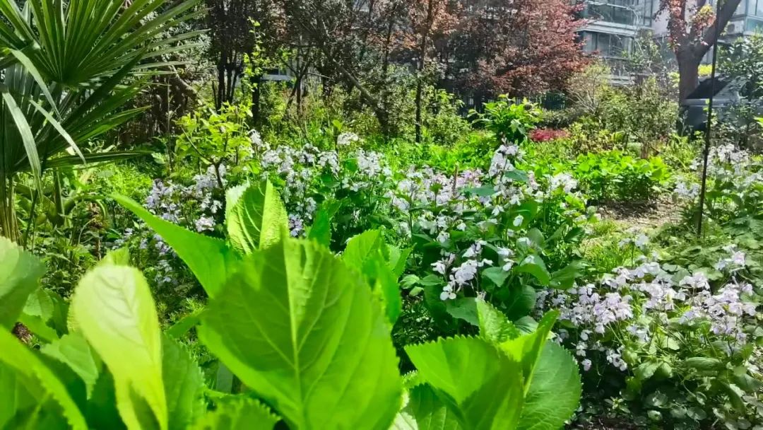 香港KFarm · 高科技农场的绿色奇迹丨中国香港丨陈启豪等-91