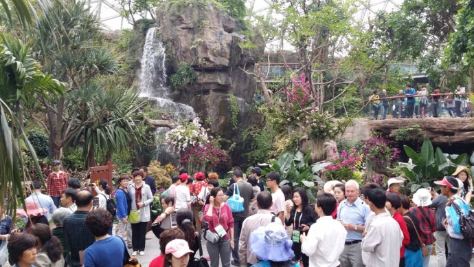 2014青岛世界园艺博览会青岛玻璃屋景观园艺项目丨中国青岛丨Weddle Landscape Design-6