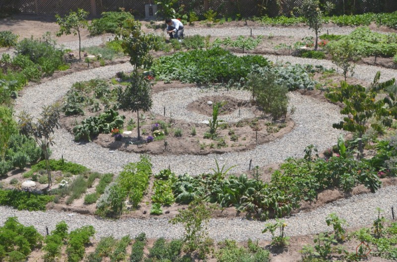 秘鲁多功能emblem餐厅-3