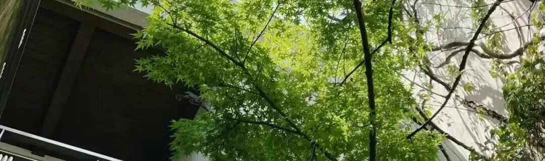 柏仕晶舍丨中国上海丨凹设计-0