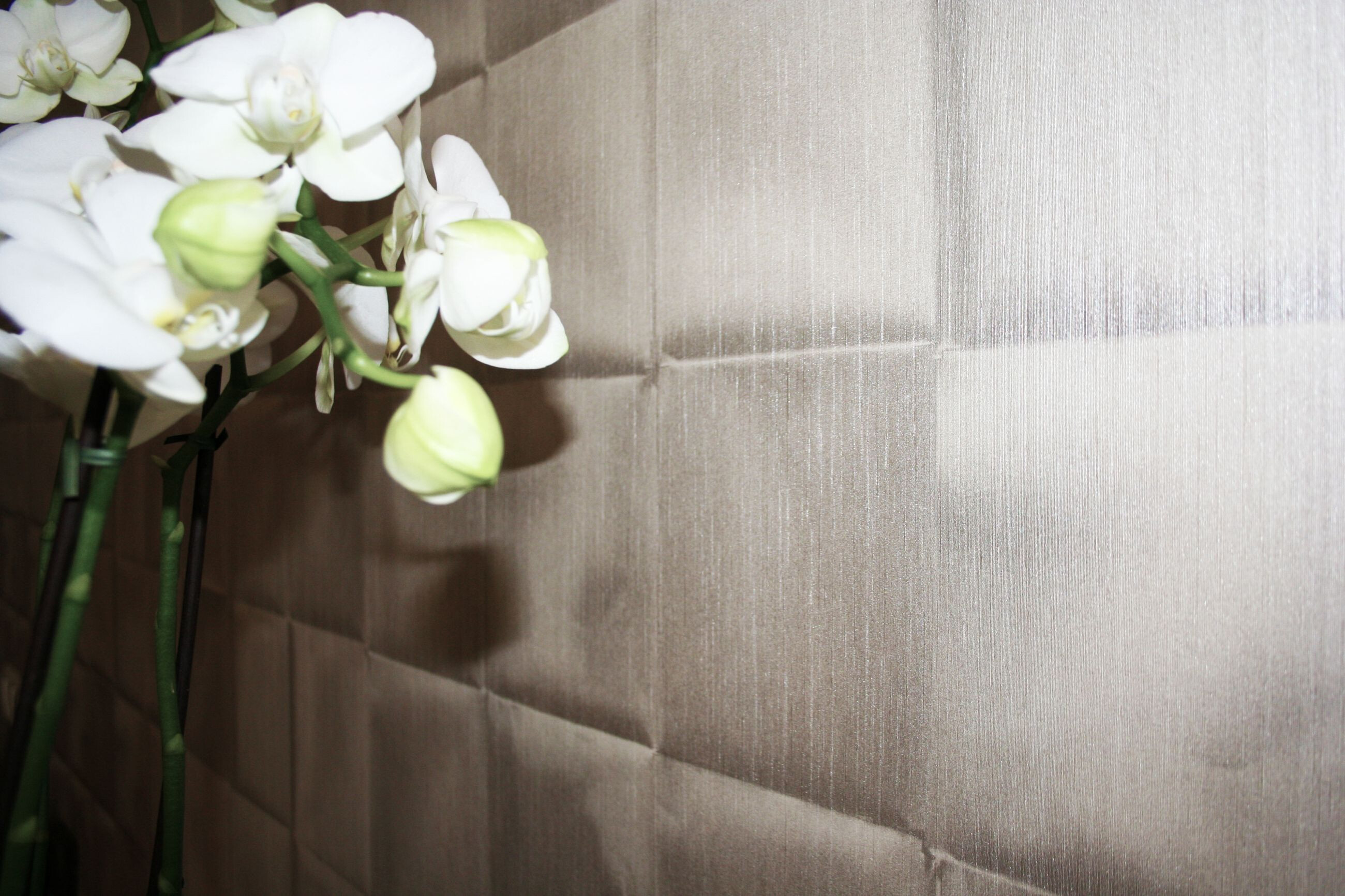 Golden Tulip 酒店 Amsterdam West-9