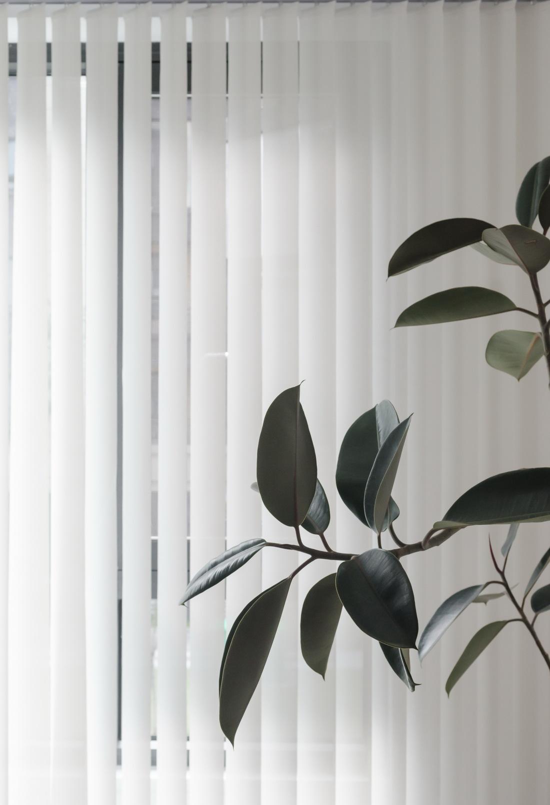 蓝墙叠窗之家-97