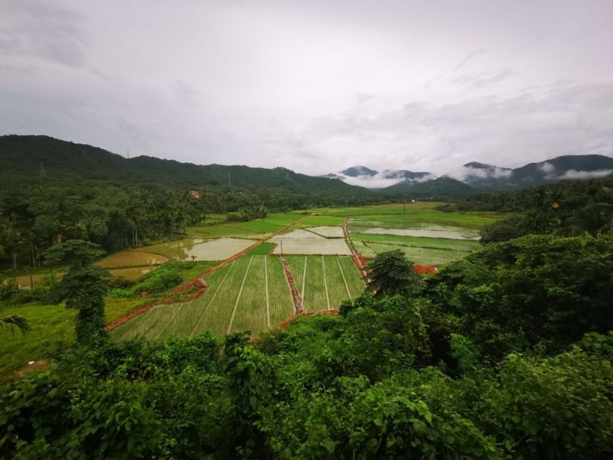 融入自然的艺术之旅 | 大茅远洋生态村艺术家团队踏勘纪实-24