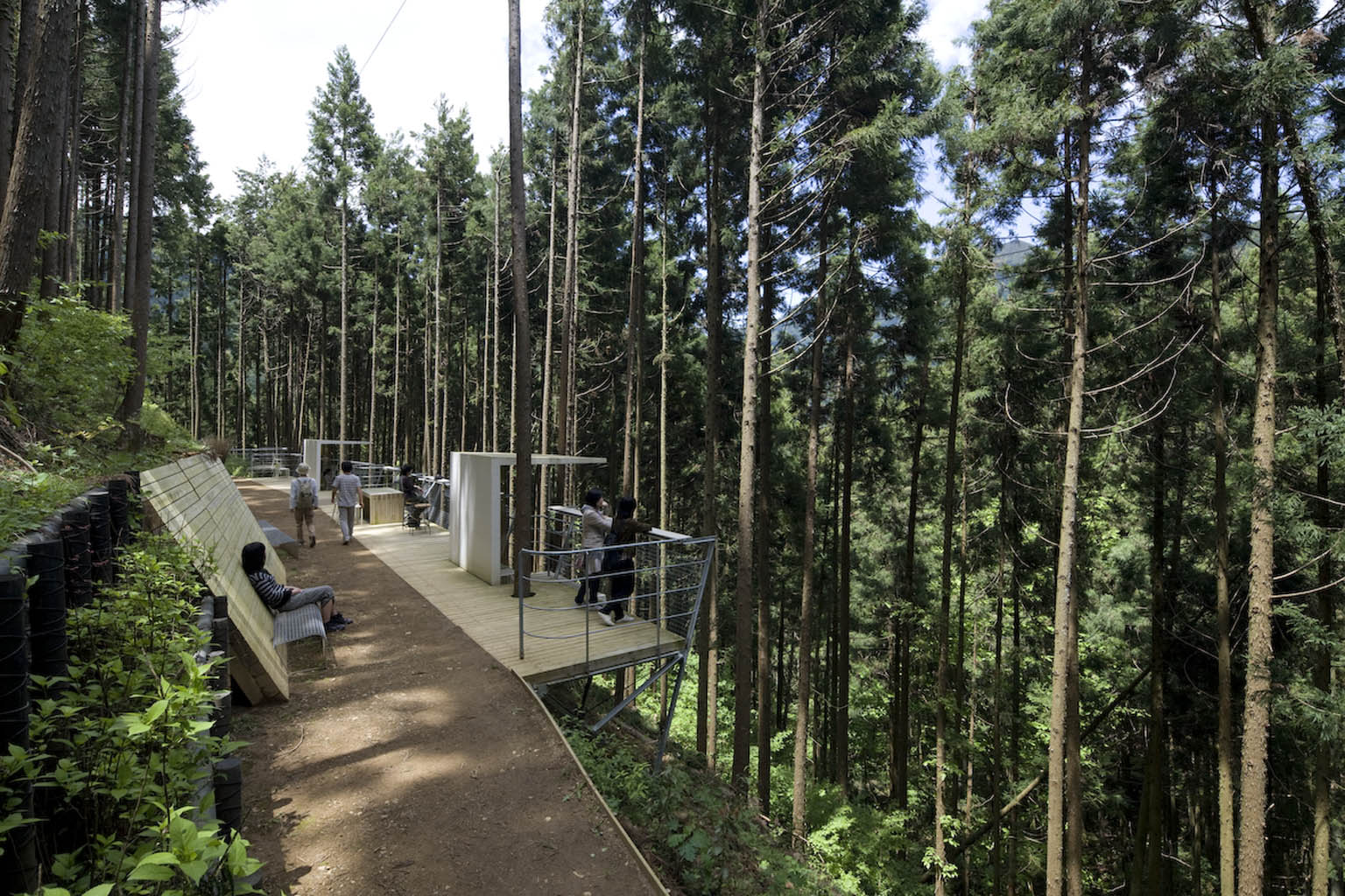 奥多摩森林疗法之路丨日本东京-21