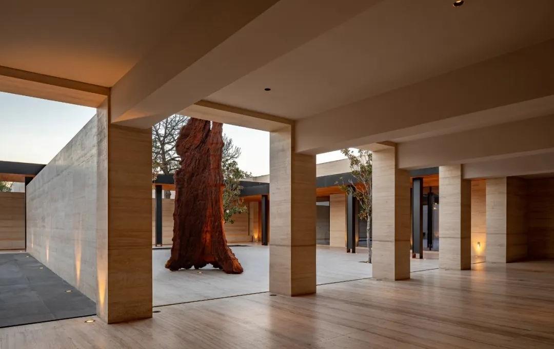 伊扎尔房屋丨墨西哥丨Taller ADG-34