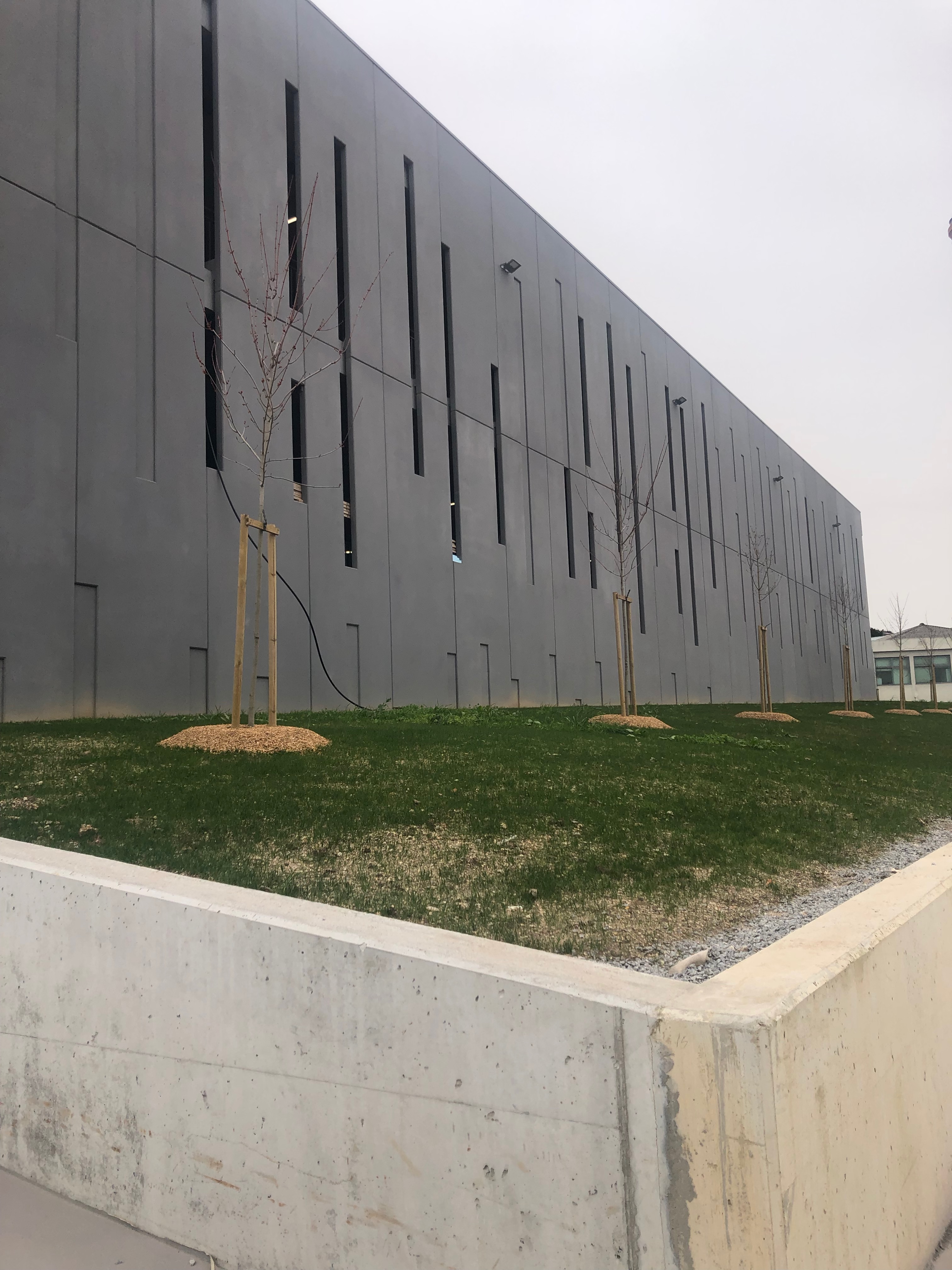 Mercadona Cães de Pedra 超市丨HAS  Hinterland Architecture Studio-9