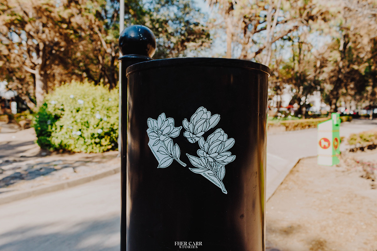 都市中的绿肺 · 林肯公园的艺术与自然-11