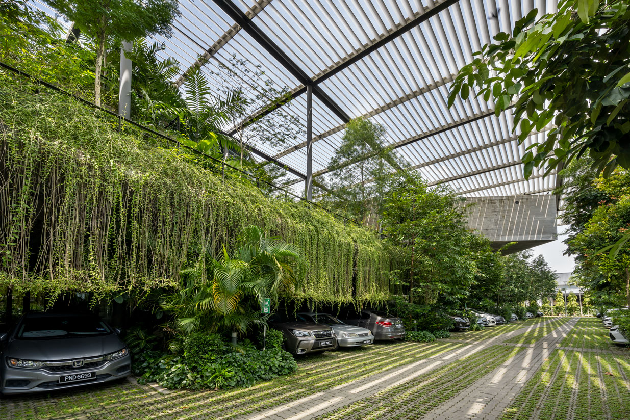 槟城森林中的工厂丨马来西亚槟城-2