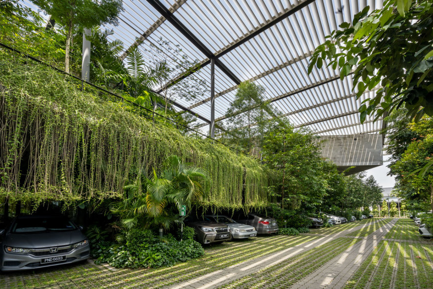 槟城森林中的工厂丨马来西亚槟城-2