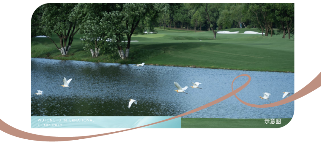 梧桐湖国际社区l去有水的地方，抵达墅院“舒适圈”-7