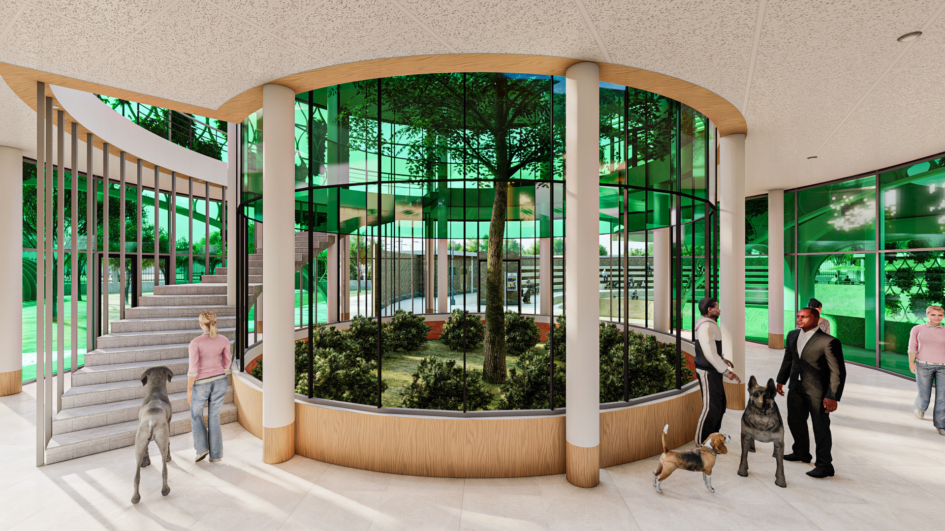 CENTRO DE ATENCION INTEGRAL-61