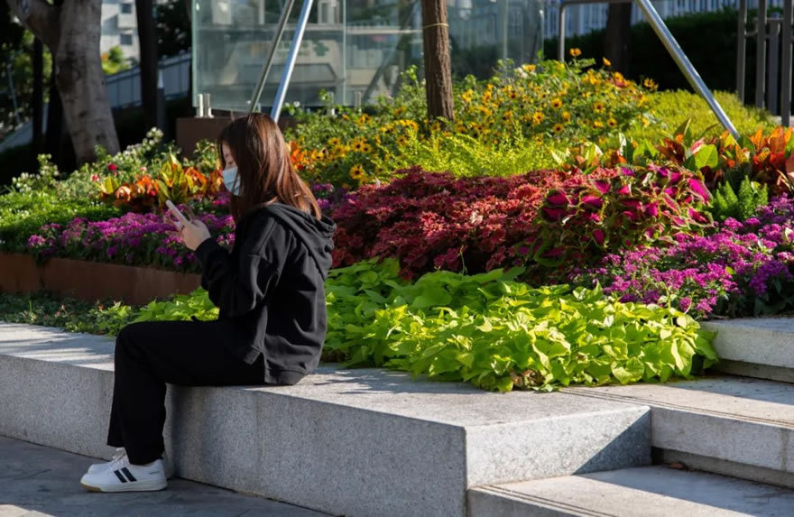深圳福田侨香路景观提升丨中国深圳丨深圳文科园林股份有限公司-81
