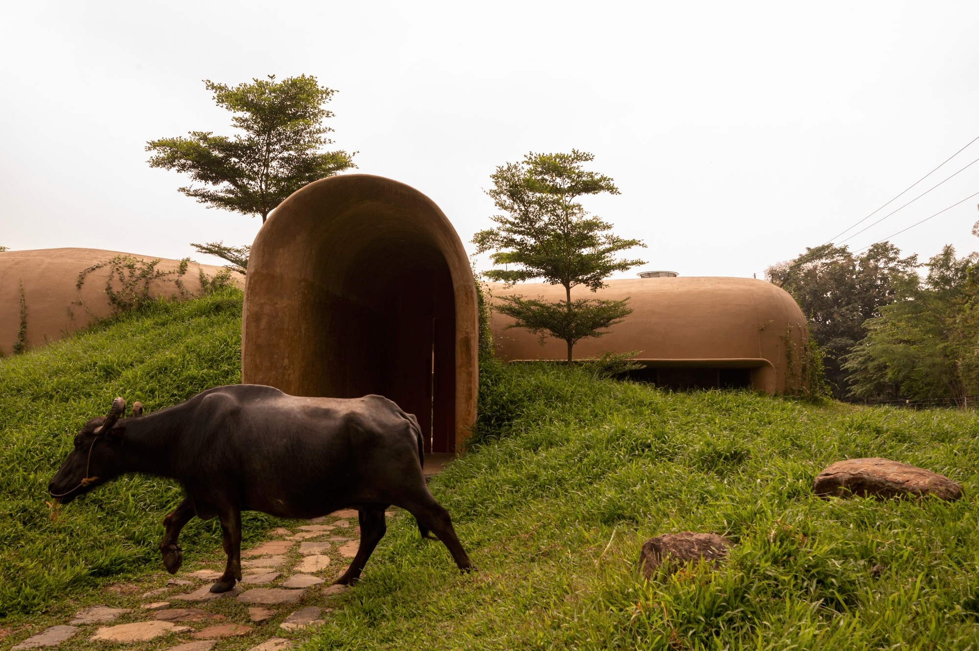 印度狂野之屋丨Earthscape Studio-8