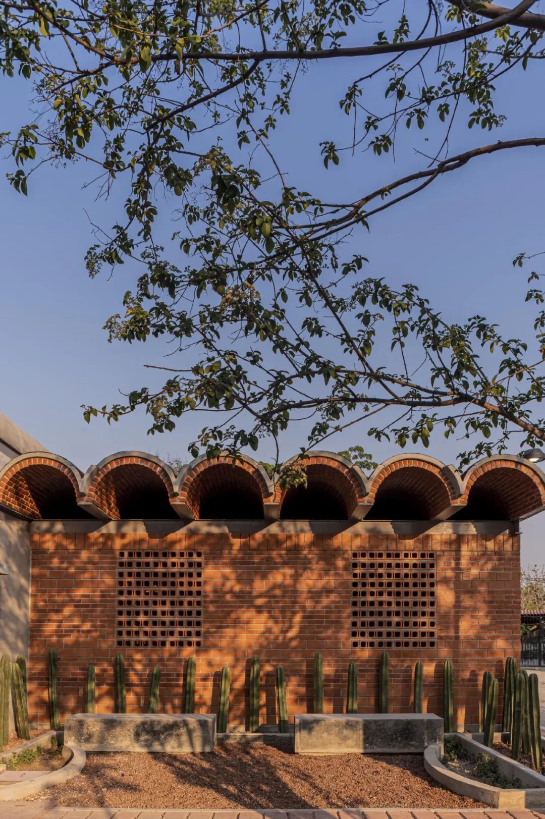 蒙杜库别墅丨几内亚丨Remy Aznar 和 William Tailly-41