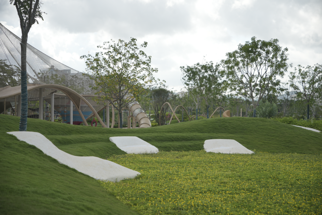 三亚崖州湾科技城通海公园五区丨中国三亚丨成都麦微景观建筑事务所-78