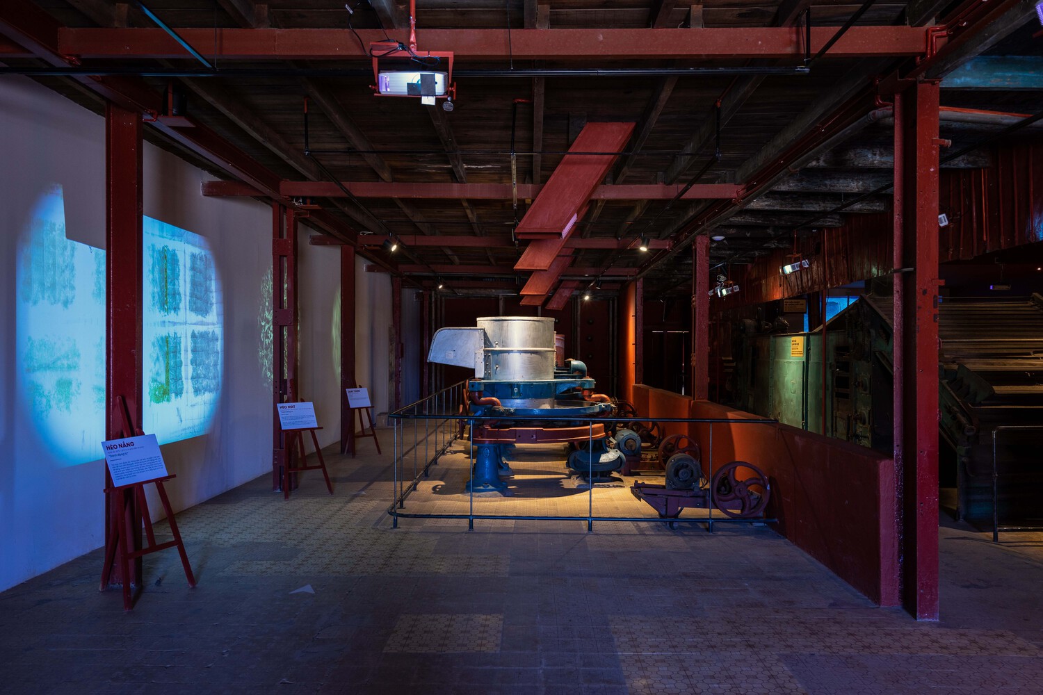 越南 Cau Dat 茶博物馆丨Bo 设计与施工-43