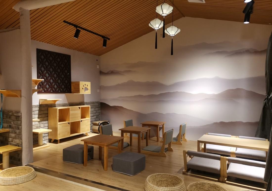 
平江路的猫咖 -7