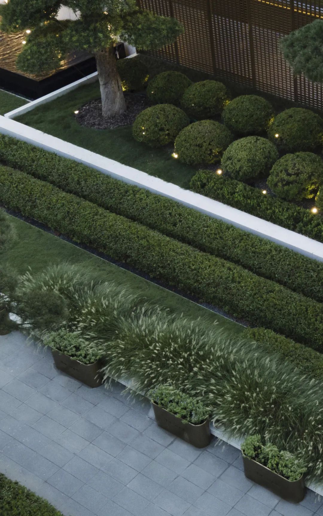 和熙碧影迎明月 | 绿城·沁香园-54