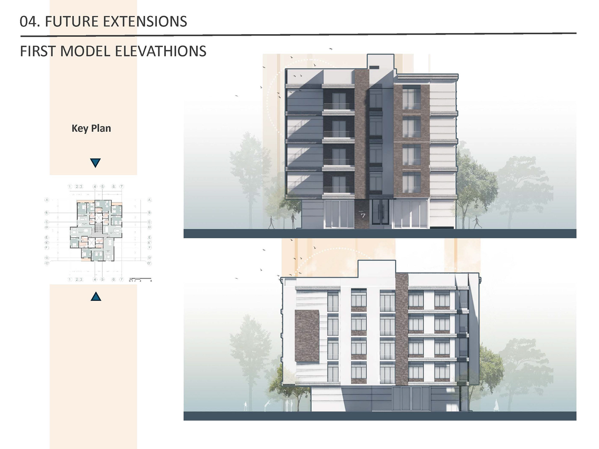 Economic housing in Alexandria region (Housing Project)-60